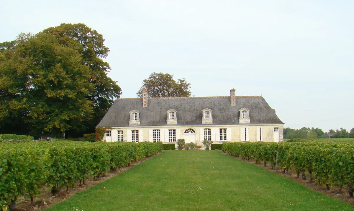 A wine estate above the vines of Vouvray, the kind of stop that ends a Loire Valley wine and castle tour