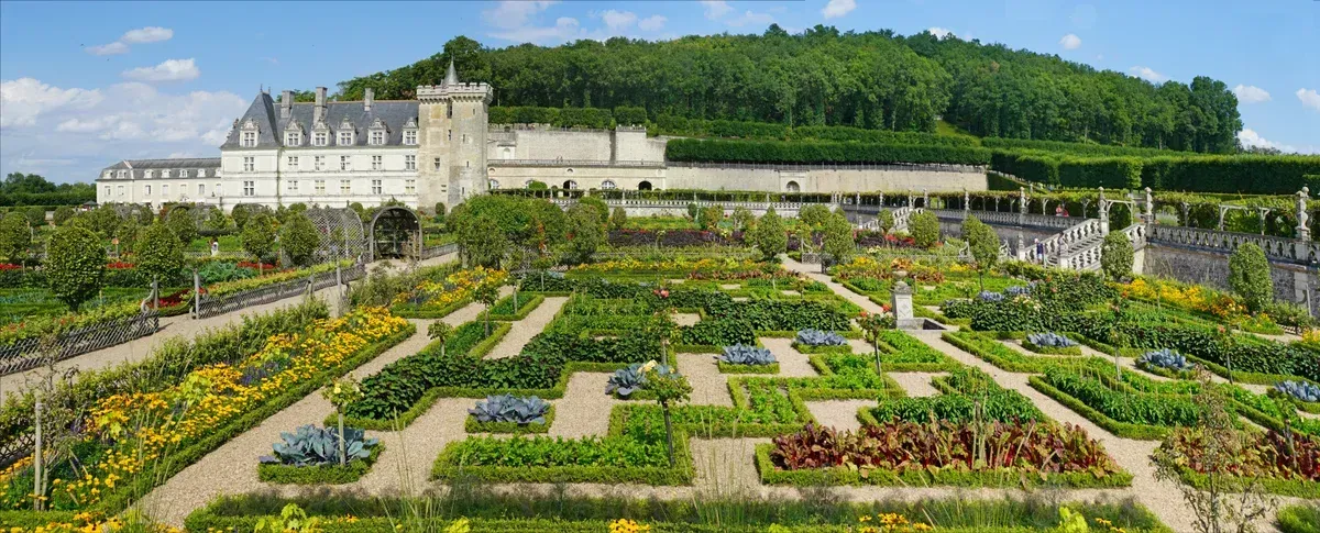 The vegetable garden and château of Villandry, a garden stop on Loire Valley wine and castle tours from Tours